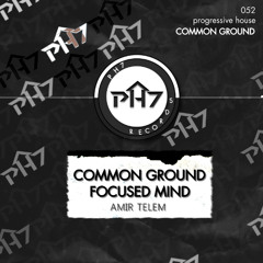 Amir Telem - Common Ground (Original Mix)