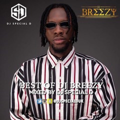 DJ Special D Presents: Best of DJ Breezy