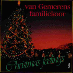 13 While Every Window Glows...