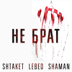 Shtaket Lebed Shaman - Не брат