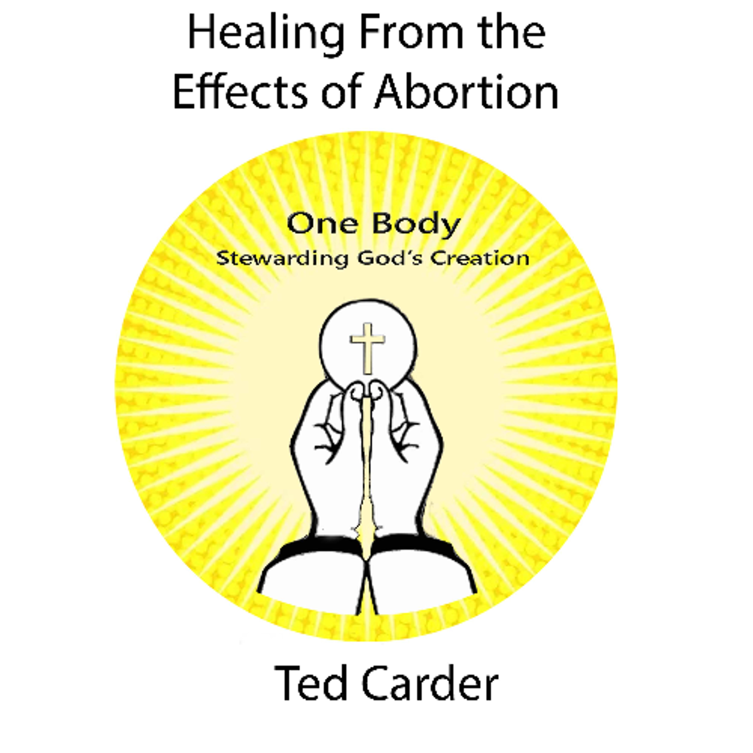 Healing From the Effects of Abortion episode artwork