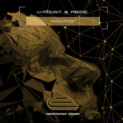 Randomize (Extended Mix)
