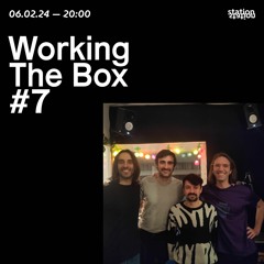 Working The Box #7