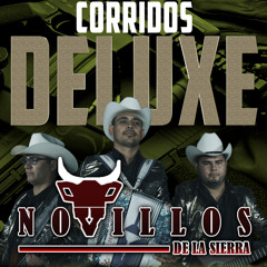 Los Inicios del Guerito (Bonus Track)