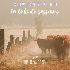 Slow Jam 2021 Mix Imbokodo Sessions by Ice Beats Slide