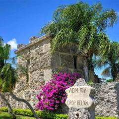 Best Things To Do In Homestead Florida Tours Reviews
