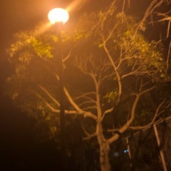 愚直 feat.poison girl