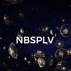 NBSPLV - Wisdom