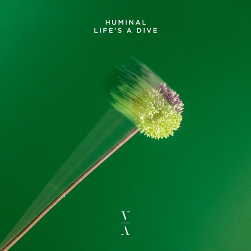 Huminal - Life's A Dive (Extended Mix)