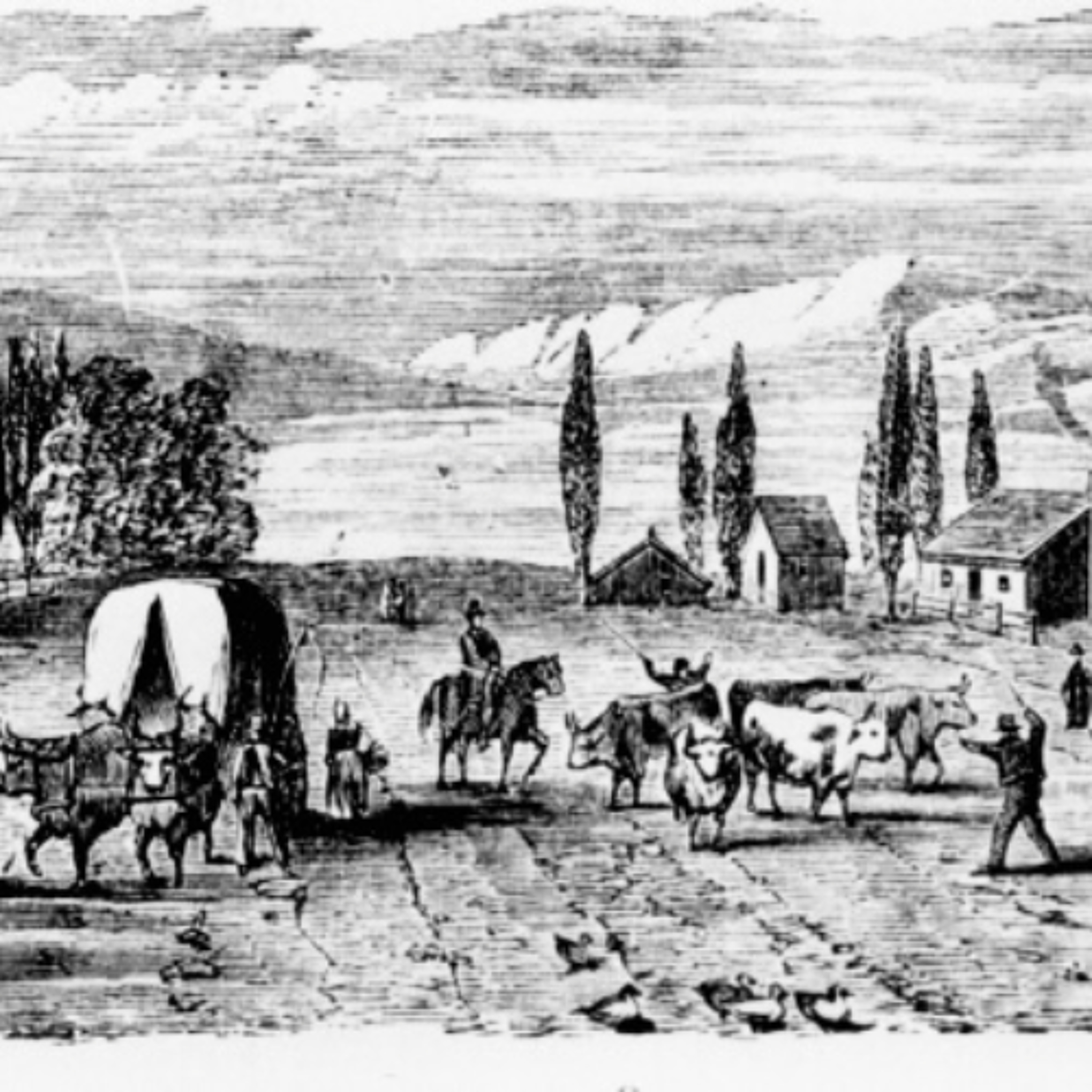 BHS e515-B.D. and Sarah Harris, and the Mormons 1851 episode artwork
