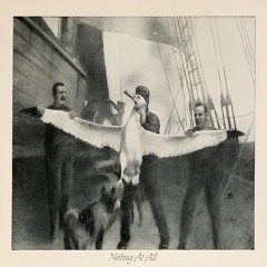 Nothing At All (prod. hi maya & Andrew Wojciak)