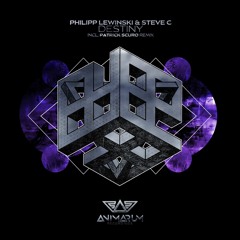 Steve C & Philipp Lewinski - Destiny (Cut Version) [Out Now on Animarum Rec.]