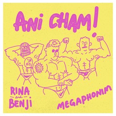 Premiere: Rina X Benji X Megaphonim - Ani Cham (Original Mix) [Fauna Reve]]
