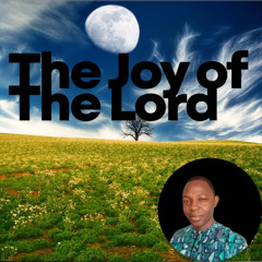 The Joy Of The Lord