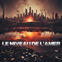 Le Niveau de l'Amer (Remix)