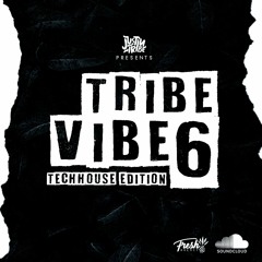 TRIBE VIBE 6 (Tech House Mix)