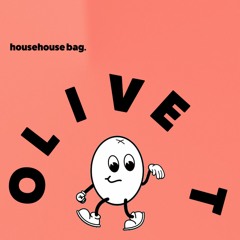 Olive T - househouse bag. Snippets