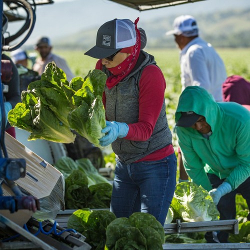 Capacitación a nuevos trabajadores en inocuidad alimentaria