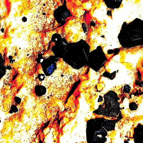 Vanessa Pettendorfer & Bruno Gussoni - t r o u v e r