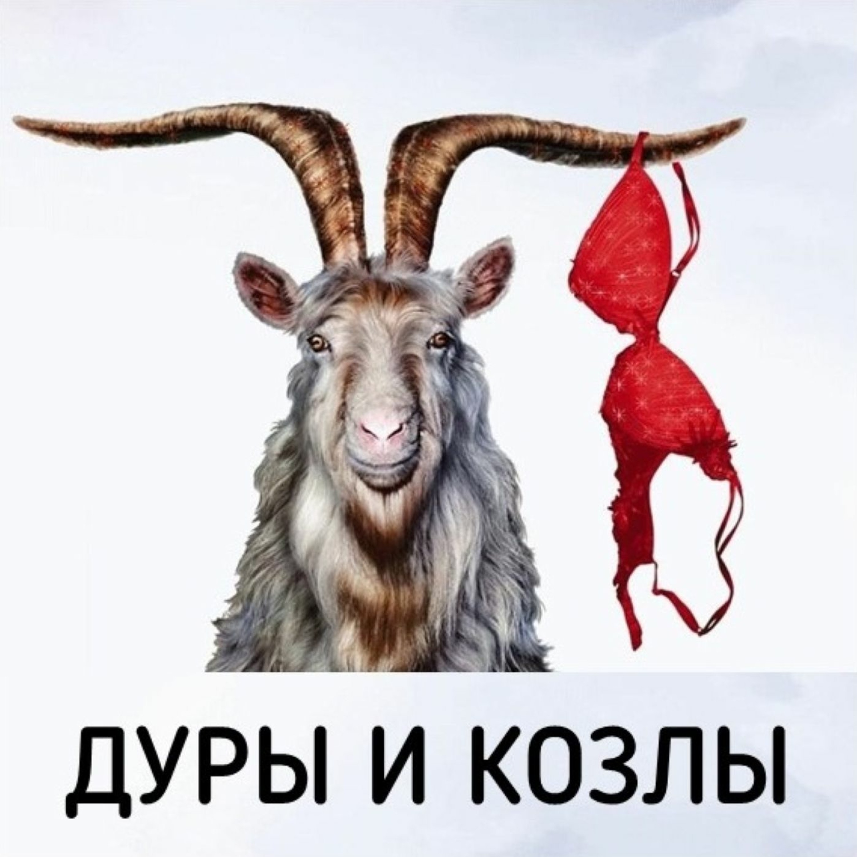 podcast