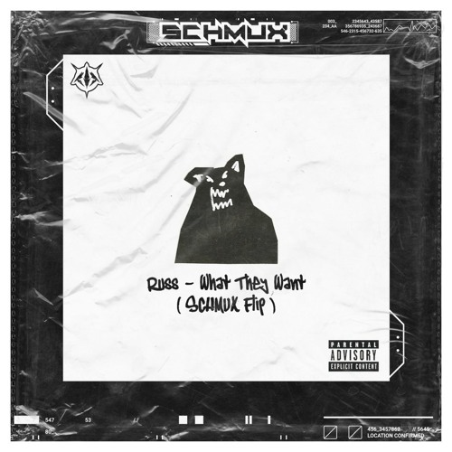 dl today