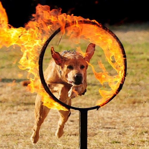 Reflections 090: Coming Full Circle