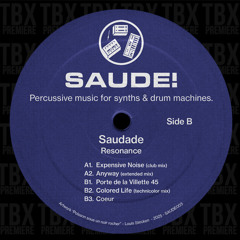 PREMIERE: Saudade - Expensive Noise [Saude]