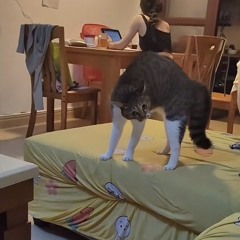 Thiên Lý Ơi Remix - Quang Hiếu Remix (A Tu)