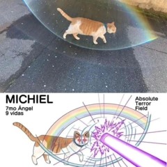 Casual Sunbeam Enjoyer 5