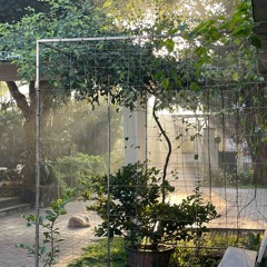 7 lần vấp ngã 8 lần đứng lên