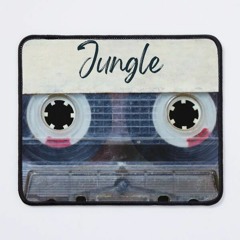 Old-school Jungle DnB Mix