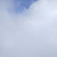 tout l'été