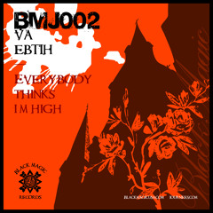 Everybody Thinks I'm High (Dj Sandy electro mix)