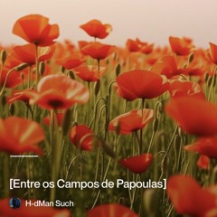 [entre-os-campos-de-papoulas] 2
