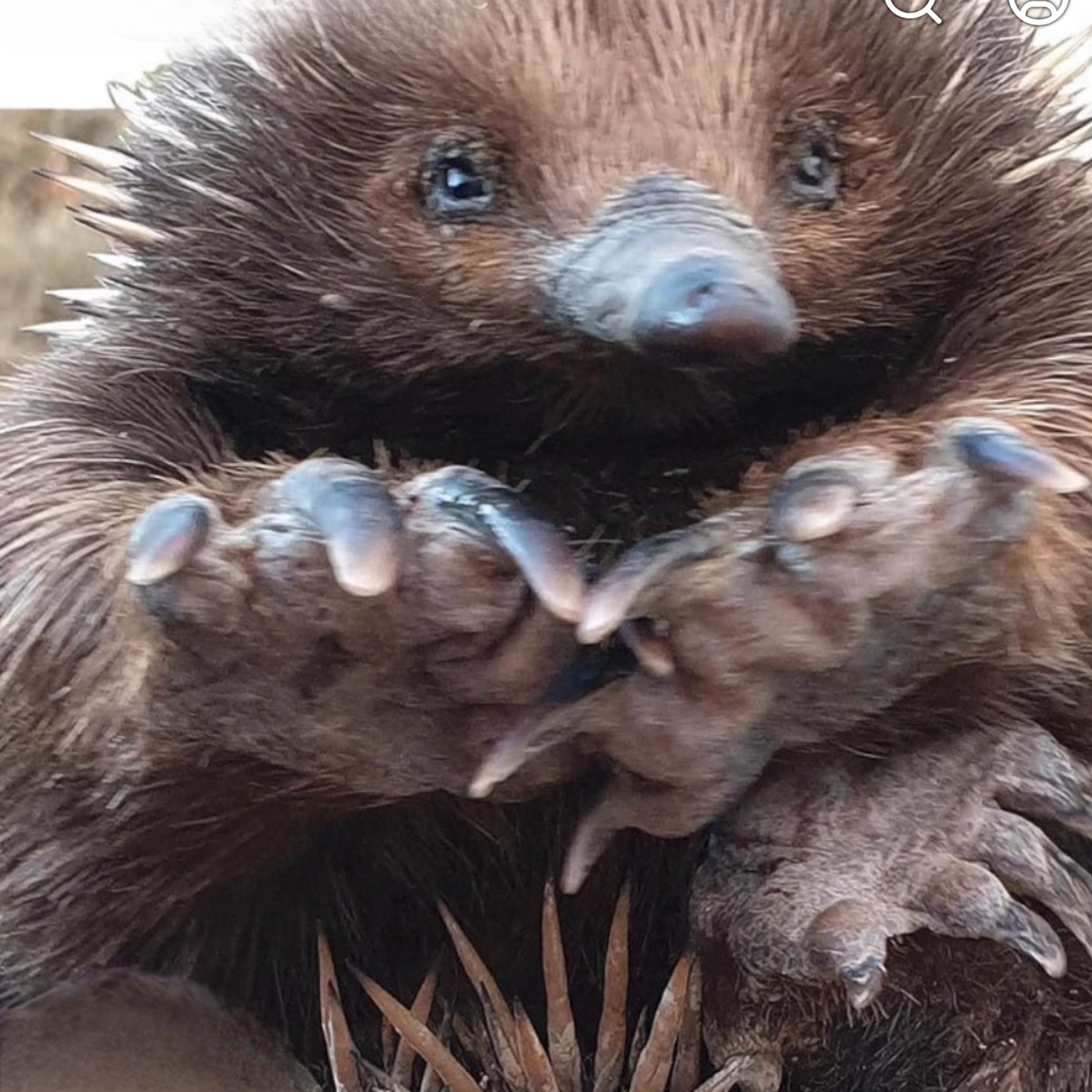 Emergency Powers (Inspired by “First They Came…”) 3.wav