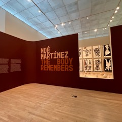 Noé Martínez: The Body Remembers /Noe Martinez el Cuerpo Recuerda