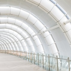 gala bunga matahari (short cover)