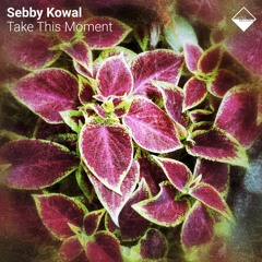 Sebby Kowal - Red Sphere