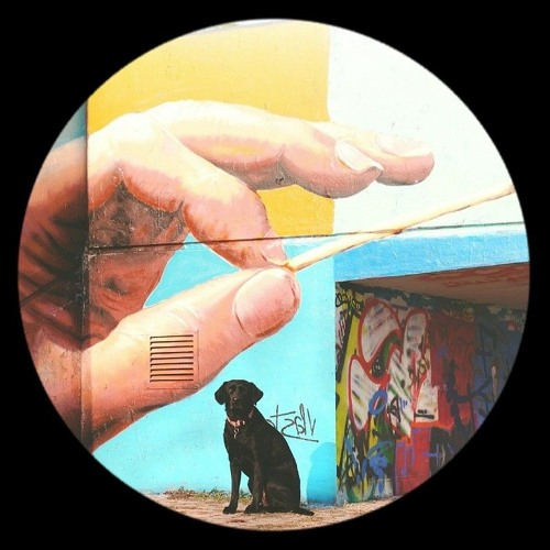 Dogma streaming shop