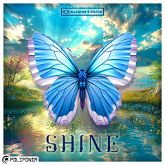 AudioToxic - Shine