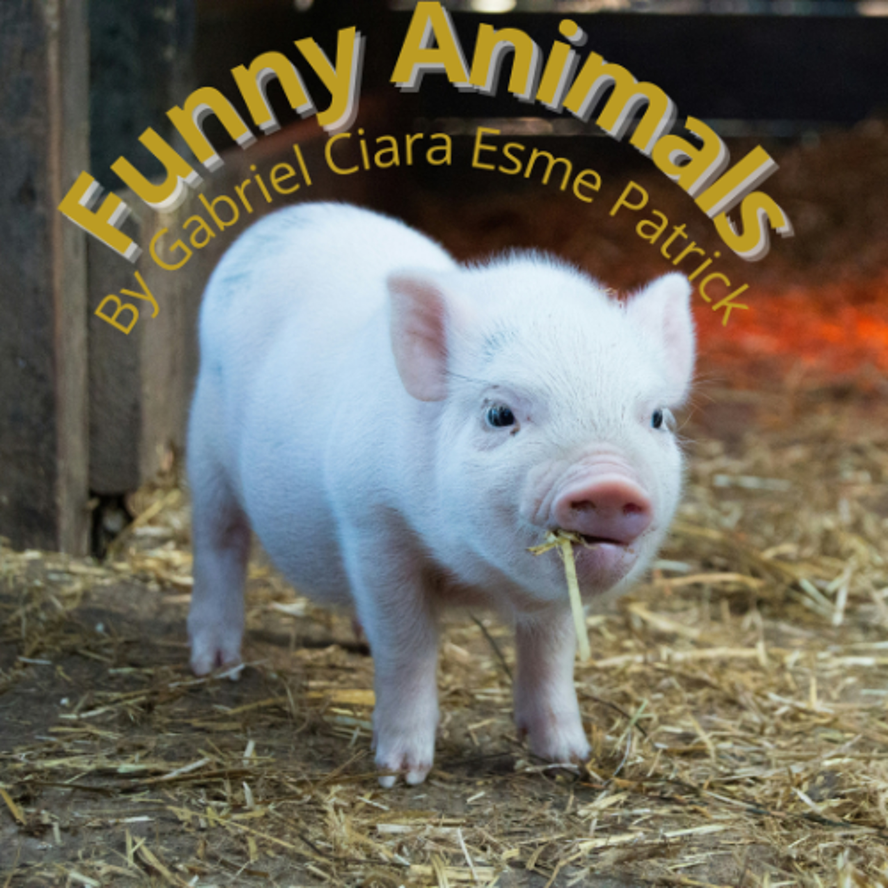 Funny Animals - Gabriel, Ciara, Esme and Patrick - School of the Nativity episode artwork