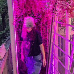 violence in my veins