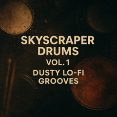 Dusty Lo-Fi Grooves - Track 18