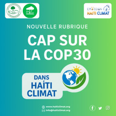 Chronique 2 - COP30 : Le multilatéralisme est-il efficace ?