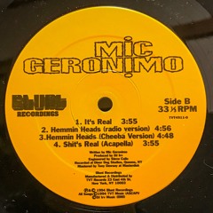 Shit's Real (Jazzy mood unofficial remix part.2) / Mic Geronimo -demo-