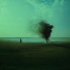 dreamscape