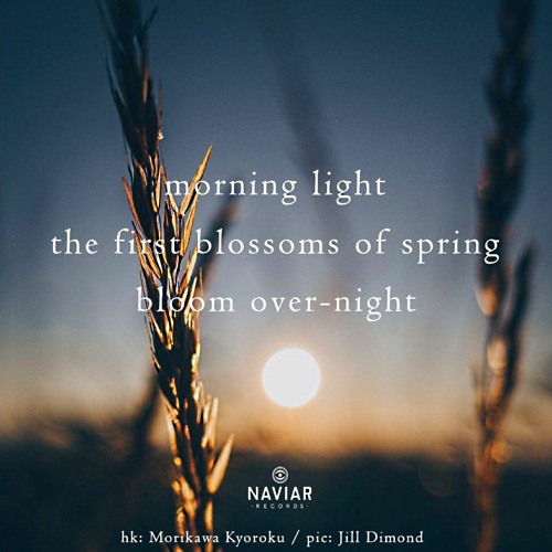 Spring bloom [naviarhaiku367]