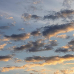 Cant u see (prod. cullen)