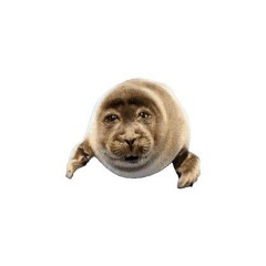 Solidus Cave  Crystal Caves - Hyrule Warriors