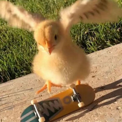 plenty rax freestyle